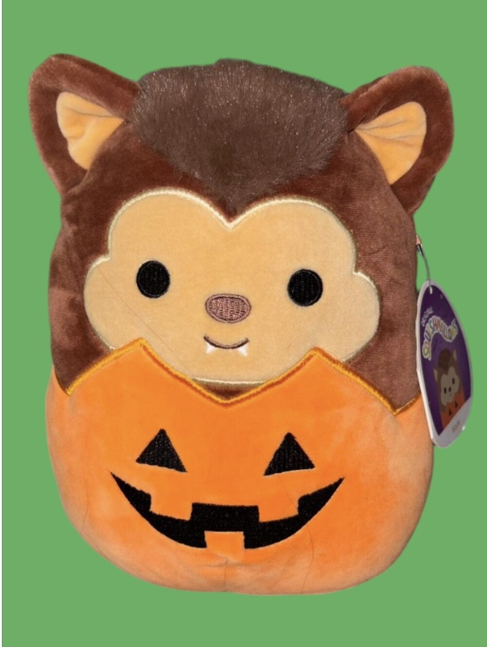 Wade the Werewolf in Jack-o-Lantern Squishmallow New Halloween Squad. Pumpkin